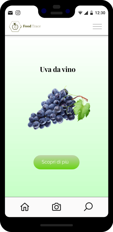 foto di uno smartphone con al centro la foto di un grappolo di uva con scritto uva da vino