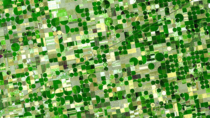 foto di alcuni campi inquadrati da una immagine satellitare
